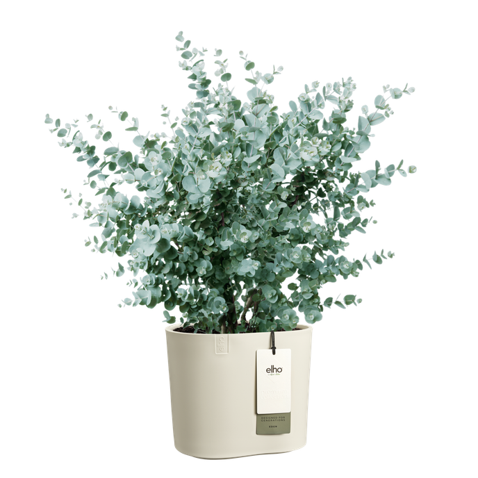 eden 25cm linen white